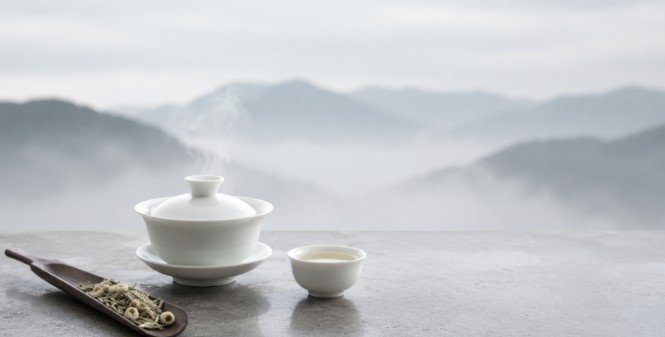 Best Calming Varieties to Master Peace of Mind